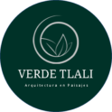 Verde Tlali